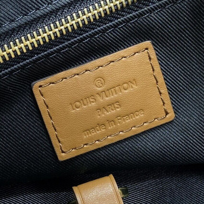 頂級A貨Louis Vuitton M45194 Hobo Dauphine 小號手袋單肩包老花帆布